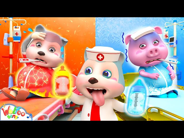 Mommy Got a Hot Or Cold Baby? Boo Boo Pregnant Song | Baby Song & Nursery Rhymes | Wolfoo Kids Songs class=