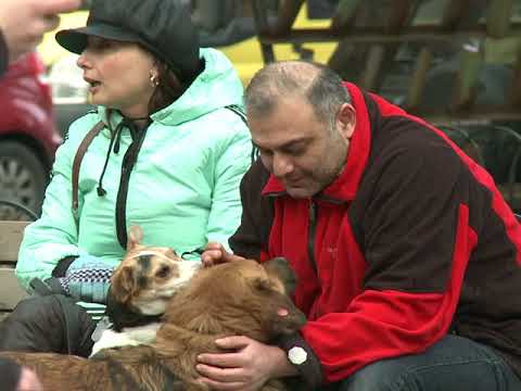 ბუკიას ბაღის ცუგები