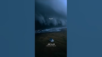 قال لا تخافا إنني معكما أسمع وارئ :- شريف مصطفى😴🎧 تلاوة خاشعة قرآن كريم