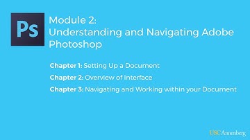 Module 2: Navigating and Understanding Adobe Photoshop