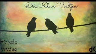 Die Kerk Oordenking Vrede Vrydag Musiek Boks - Deel 1 Drie Klein Voëltjies