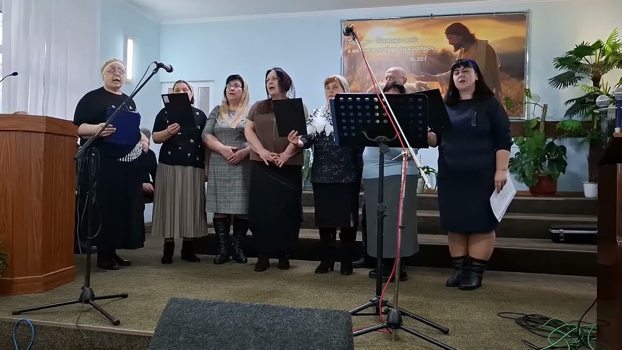 15 февраля 2026 г.