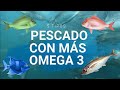 PESCADOS CON MÁS OMEGA 3 - TOP 5.