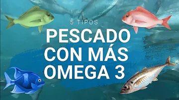 ¿Qué omega-3 de pescado es mejor?