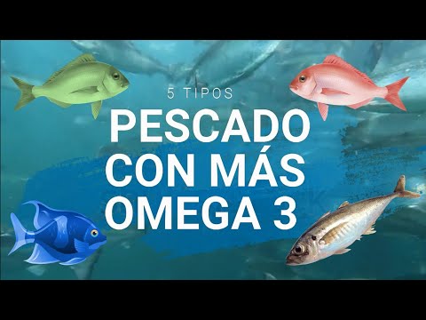 Video: ¿Los peces de río tienen omega 3?