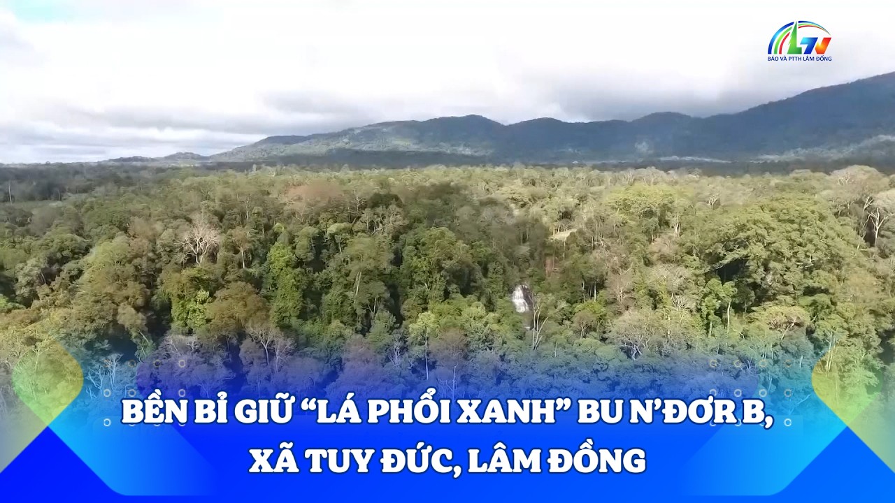 Bền bỉ giữ “lá phổi xanh” Bu N’Đơr B, xã Tuy Đức, Lâm Đồng