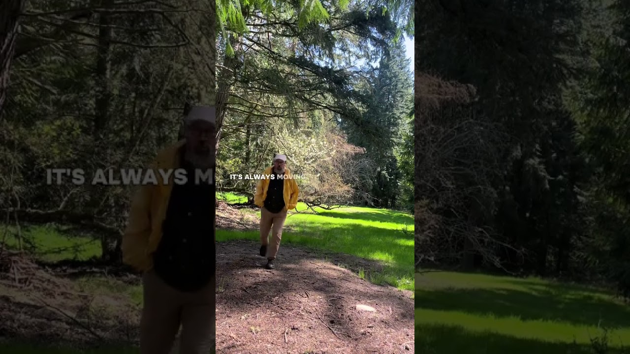 🌊 Joy & Sorrow: Where grief is love’s echo. 💔✨ 