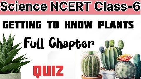 Class -6 Science Knowing the Plants Important Questions| MCQs Practice Quiz