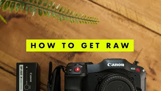 Canon C70 | How To Install The RAW Update