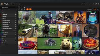 Short Tour of FiftyOne Features