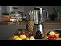 Стационарный блендер VIXTER SBM-3310