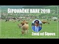 SIPOVACKE BARE PREKRIVENE KRDOM GOVEDA ZMAJA OD SIPOVA 2018