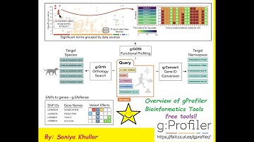 Overview of gProfiler Tools for Bioinformatics/Biological Analysis