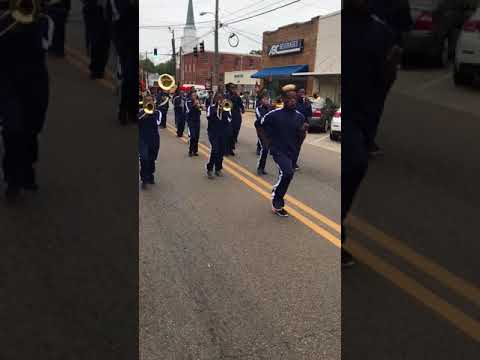 Francis Marion School Sounds of Success Marching Ram Band 2017- “Feels Good”