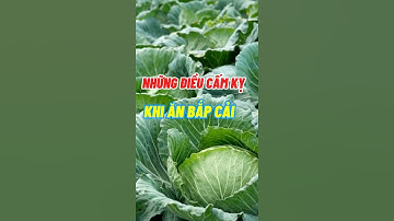 Những Điều Cấm Kỵ Khi Ăn Bắp Cải #dsdaiminh #food #dinhduong #health