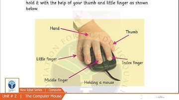 NIS Grade 01 Computer Chapter 02