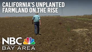 California Drought Causing Significant Increase in Unplanted Farmland