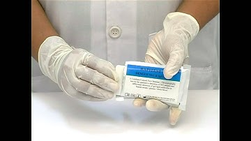 YBIO DENGUE COMBO LATERAL FLOW TEST DEMONSTRATION