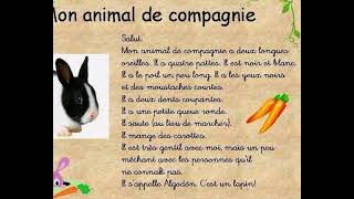 Description Of A Rabbit In Frenchdécrire Mon Animal Préféré Le Lapin