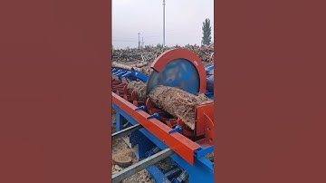 Wood cutting process for trees- Good tools and machinery make work easy