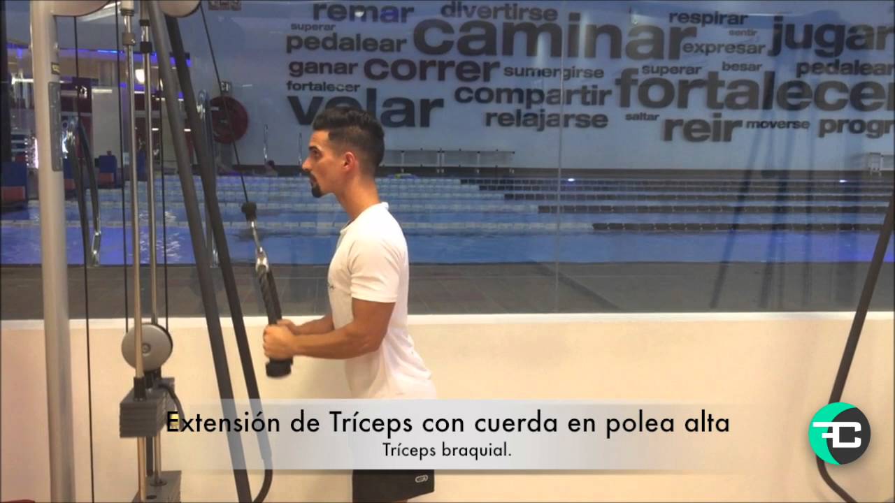 Extensión de Tríceps con cuerda en polea alta YouTube