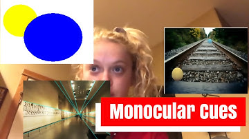 Monocular cues- AP Psych