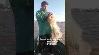 pesca de tarrafa com kaico  no rio tramandai