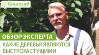 Какие  деревья являются быстрорастущими(В этом видео наш эксперт расскажет Вам о деревьях которые являются быстрорастущими. Если Вы хотите приобр..., 2014-08-01T09:13:37.000Z)