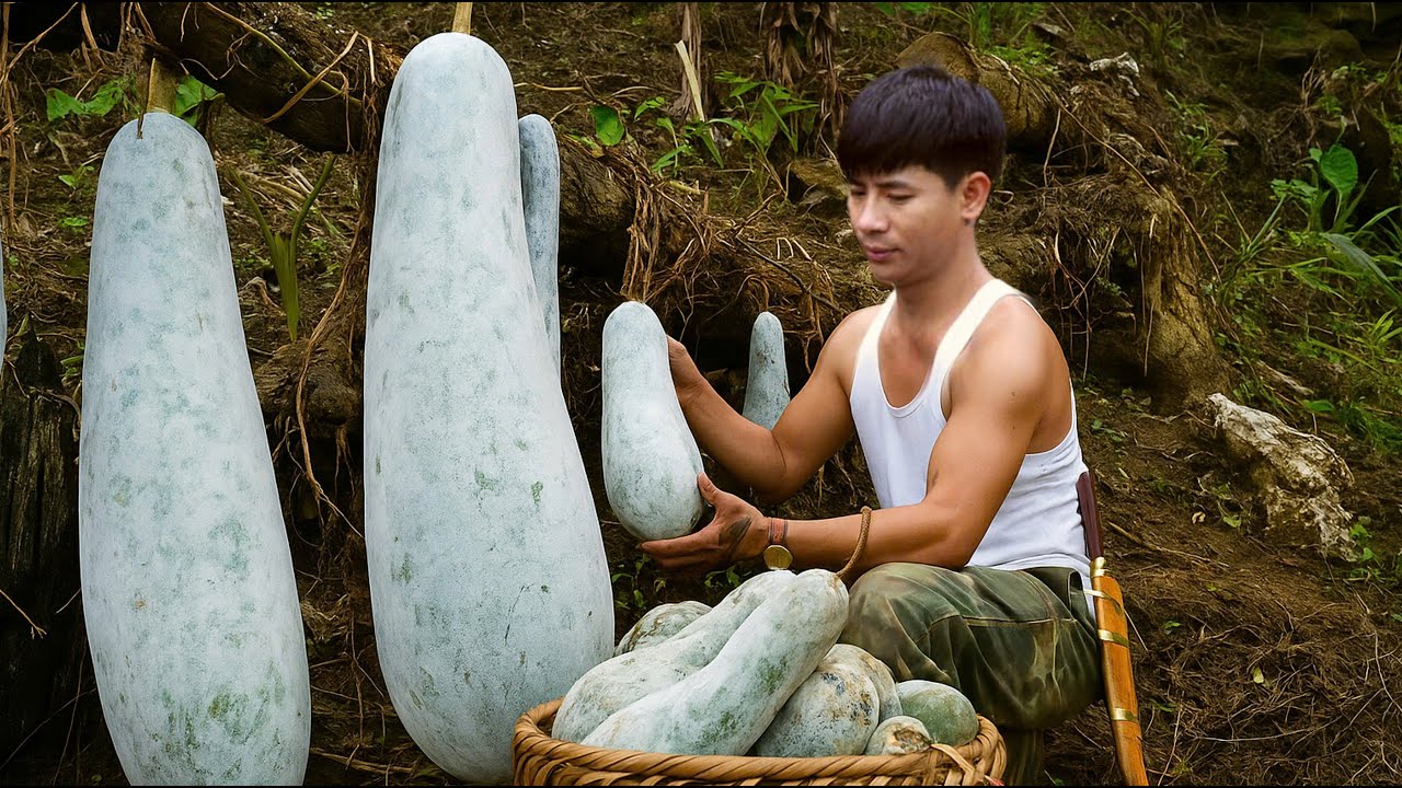 Harvest wild squash, process into delicious dishes and sell at the market