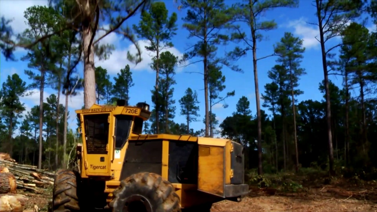 Agriculture Closeup Virginia Department of Forestry YouTube
