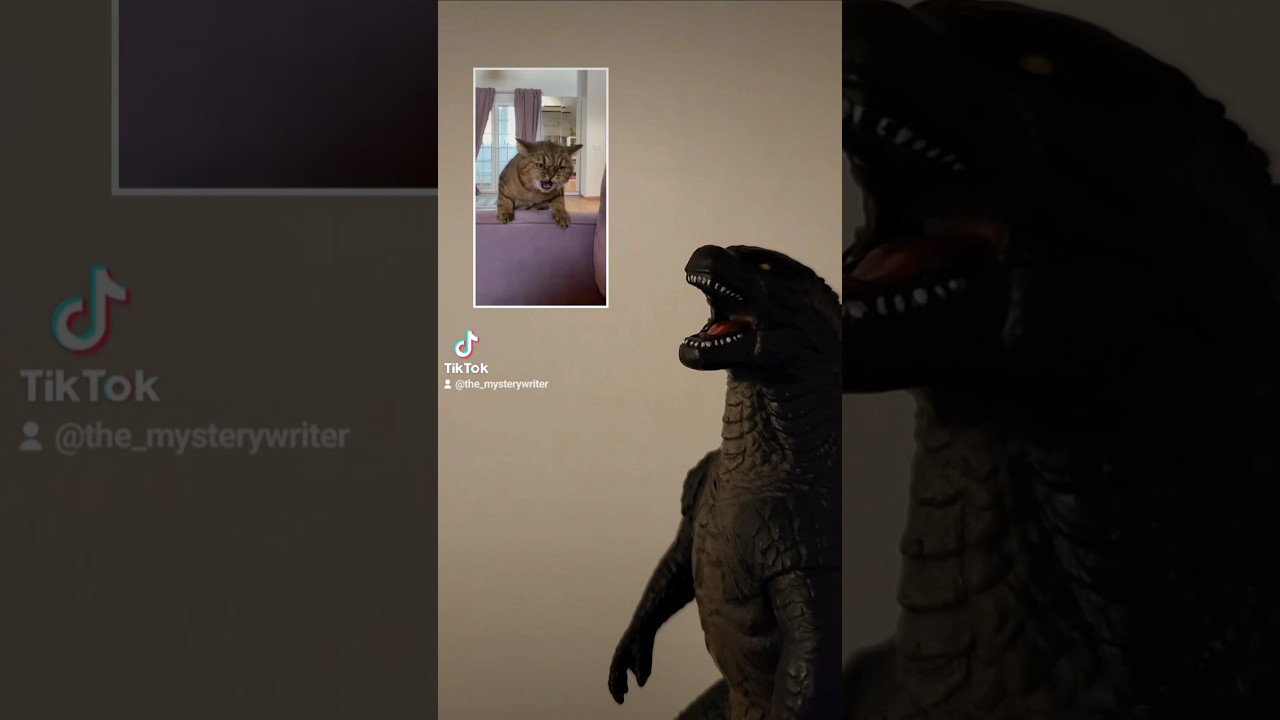 LIVE ACTION LION KING BUT GOOD!? 