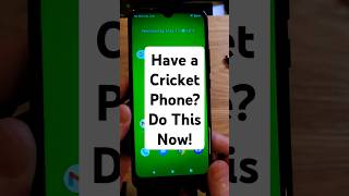 Do THIS Immediately so that you will never forget your pin  pattern or password - Cricket Icon 3