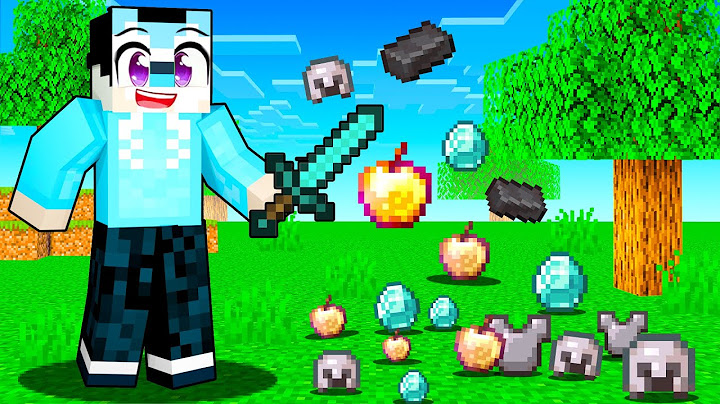 Minecraft MAAR Ik Krijg RANDOM ITEMS!