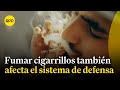 Estudio revelaría que fumar cigarrillos afectaría el sistema de defensa