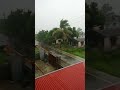 #Raining  in Britinagar|| Time:-7am||#shorts||##RaininginBritinagar