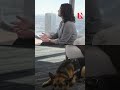 Behind the Scenes: Loyal Service Dog Kiwi and Archaeologist Kristina Douglass | Newsmakers Impact