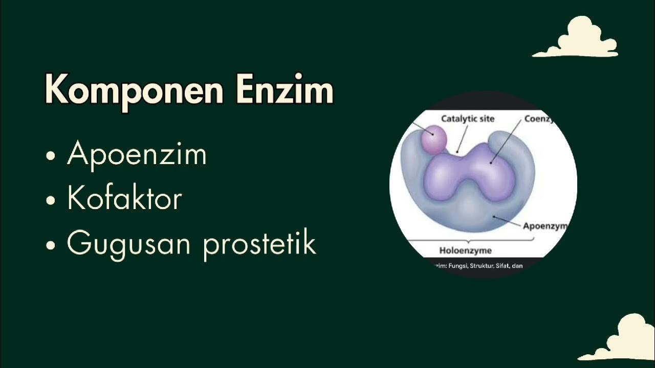 TUGAS BIOLOGI VIDEO STOP MOTION TEORI LOCK AND KEY (TEORI GEMBOK DAN