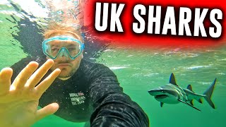Hunting For UK Sharks And Getting A Mega Rare Find!