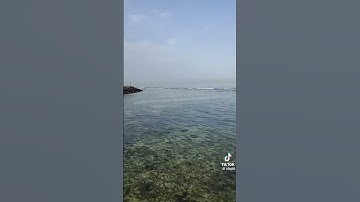 قراءة حجازية جميلة #قرآن_كريم #تلاوة قصيرة