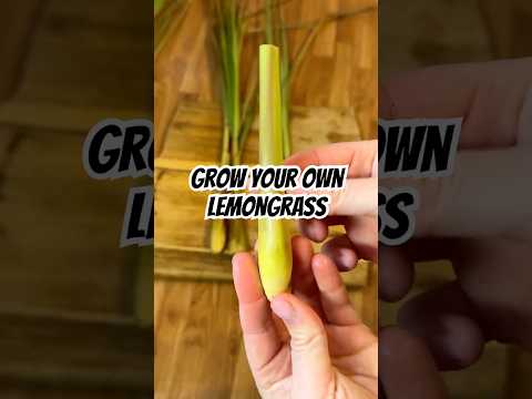 Lemongrass Garden Restaurant