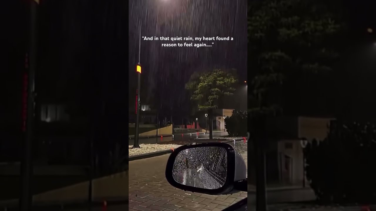 Sometimes All It Takes Is A Small Moment Rainynight Shorts Windowview Peluurerain Hollywood