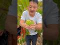 New Fruit Harvesting Technology 🍒 #shorts #fruit #nature