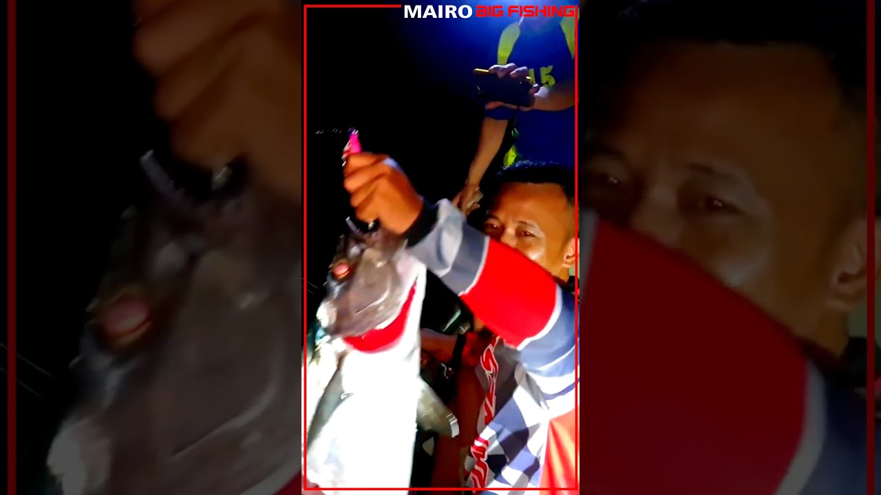 MAIRO BIGFISH  " night fishing in the red snapper strike sea " 