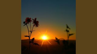 Dawn Light