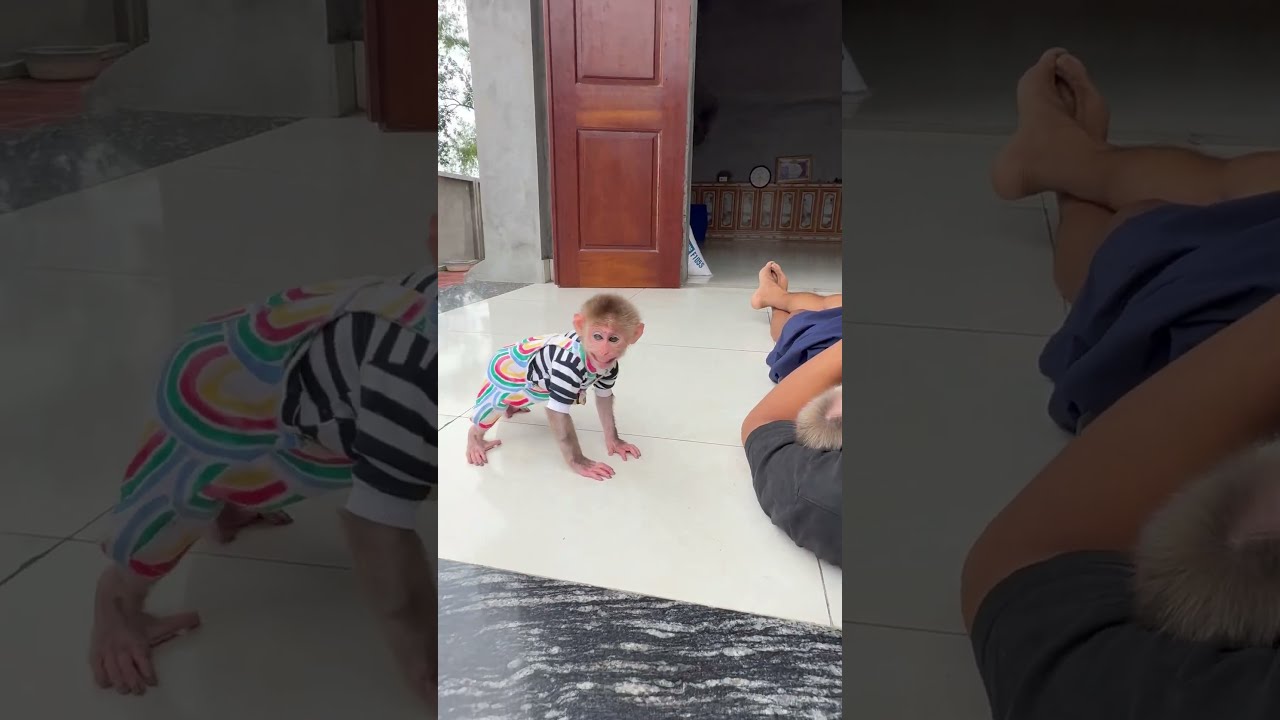 Bibi Is So Fierce That She Waiting To Hit The Baby 