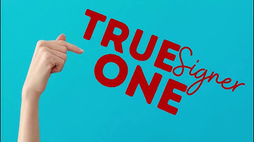 Quick Introduction to TRUESigner ONE