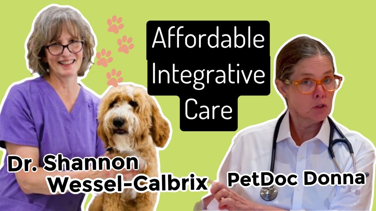 How to keep veterinary medicine affordable! Using integrative and holistic medicine. 