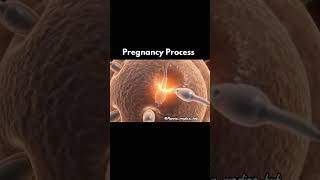 pregnancy Process ⚠️ fertilization process #aiim#medicalstudent