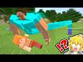 【閲覧注意？】明らかに "様子がおかしい" マインクラフト【Minecraft・マインクラフト】
