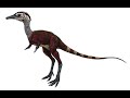 Shuvuuia the desert bird dinosaur